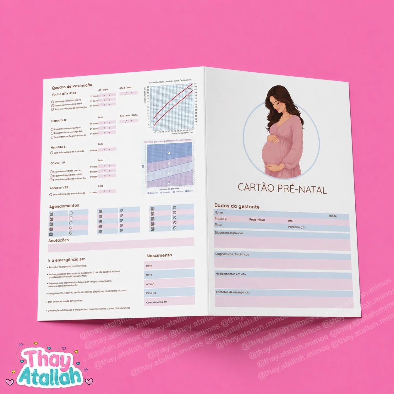 2 - CARTAO DE PRE NATAL Arquivos Digital Cartão de Pré Natal - Imagem 1