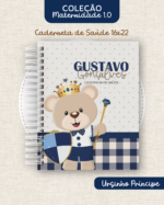 ARQUIVO DIGITAL COLEÇÃO MATERNIDADE URSINHO 3